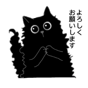 use respect language Black Cat Zizi