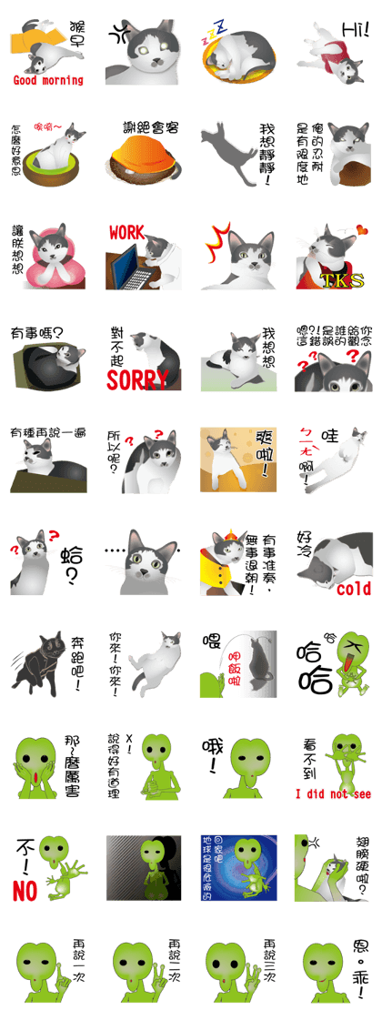 Omo star cat