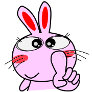 Always Cute Rabbit 6th