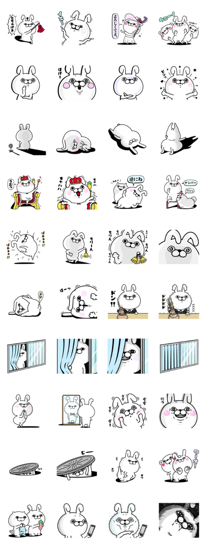 Rabbit100% 2016