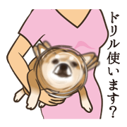 WANKO100%