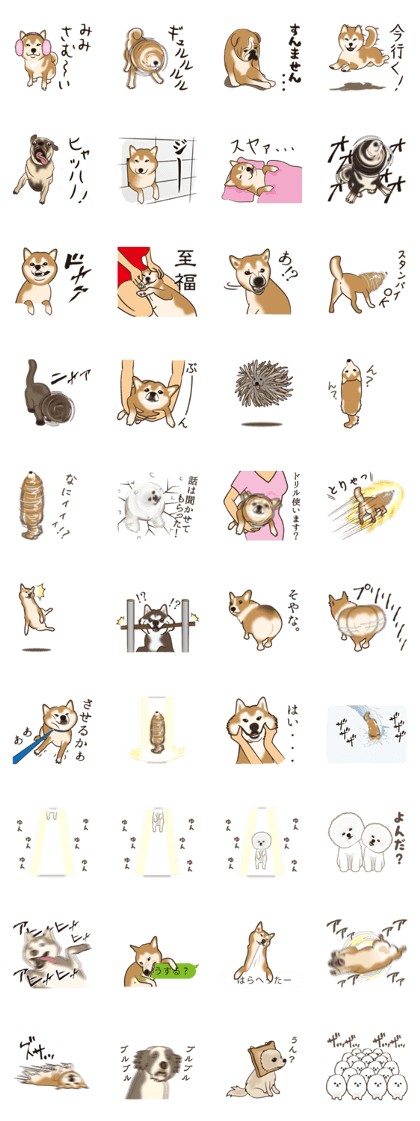 WANKO100%