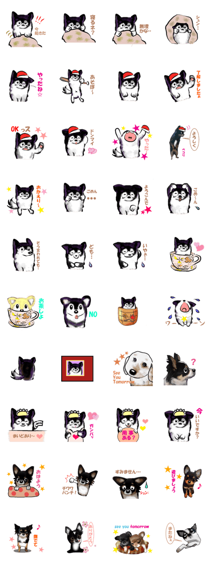 -Chihuahuas-Ver.4