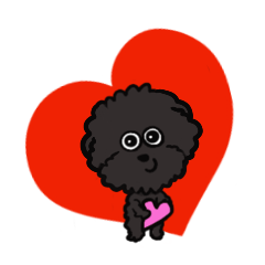 Black Poodles Afro Hair