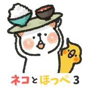 Cat and Cockatiel 3