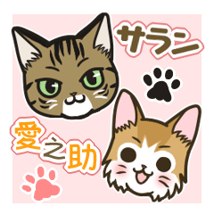 Saran and Ainosuke of a usable cat