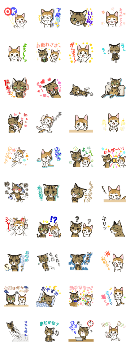 Saran and Ainosuke of a usable cat