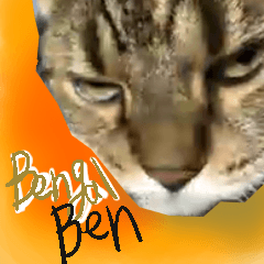 Bengal Ben (Chinese ver)