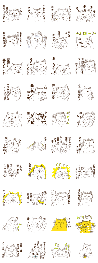 KAMA cats 2nd
