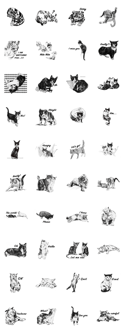 Stray Cats Family