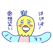 Mr. cute parrot