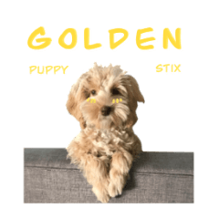 Golden Puppy Sticker Set