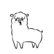 NOCHIPACA