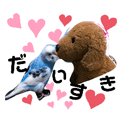 インコ Lineクリエイターズスタンプまとめ Stamplist