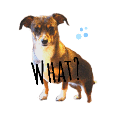 eiram_20200624223534