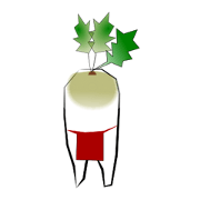 Japanese fundoshi radish