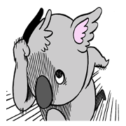 a  haughty koala