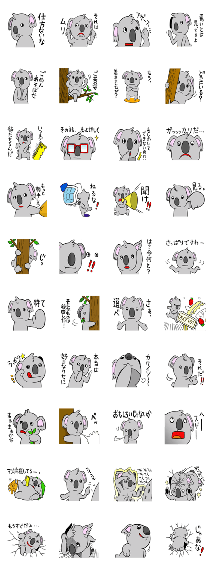a  haughty koala