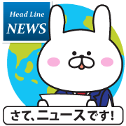 TV News of rabbit
