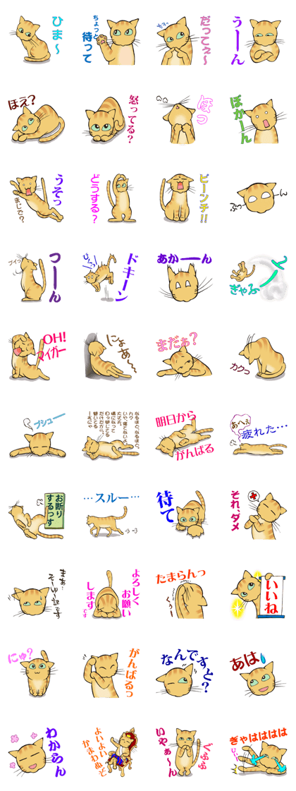 chatora-prince miru4
