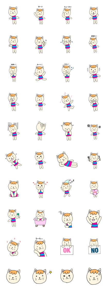 cute cat534