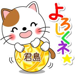 Miss Nyanko for KIMIJIMA only [ver.1]