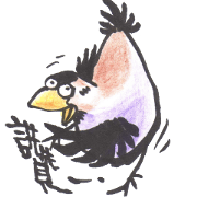 Sparrow SpeShow