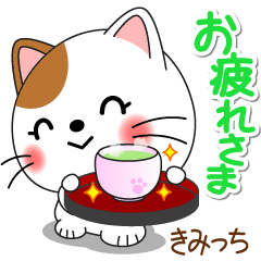 Miss Nyanko for KIMITCHI only [ver.2]