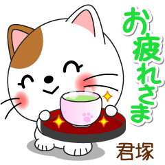 Miss Nyanko for KIMIZUKA only [ver.2]
