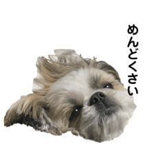 chiitan_20200624210556