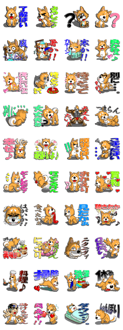 kyushu dog man 3rd