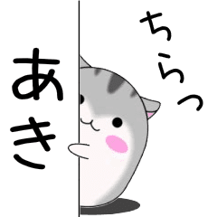 Move!Aki designated name Sticker