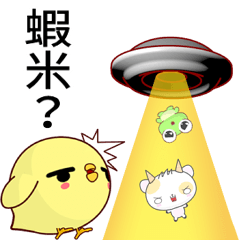 晴天雞 ( 霸道 )   .