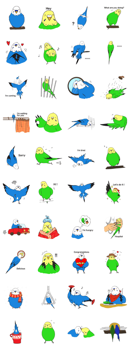 Budgerigar's everyday life (English) Budgerigar's everyday life (English)