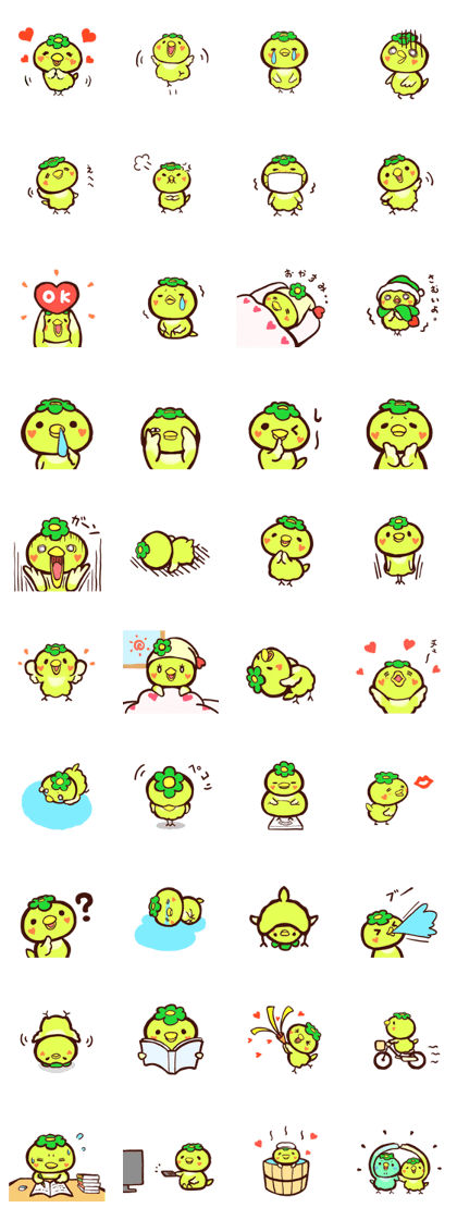 PIPIKAPPA