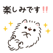 Pomeranian Mochi 8
