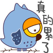 Owl Daily Life Second