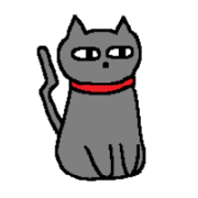 STARE THE BLACK CAT