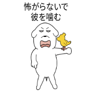 Momo dog 3 (Japanese)