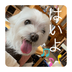 mimi_20200625164028