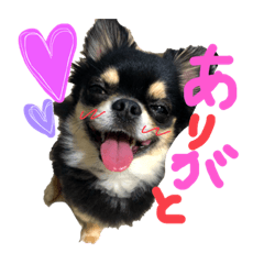 ayumi_20200625170813