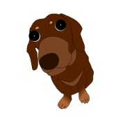 Dachshund PADA