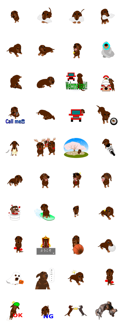 Dachshund PADA