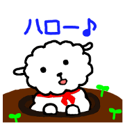 PUPPY LAMB