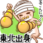 No ear rabbit 4