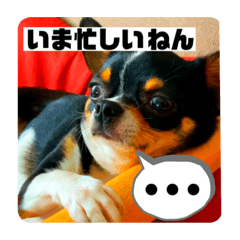 marumaru_20200625215848