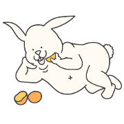 So fat and cute rabbit.