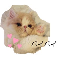 arisa_20200625200907