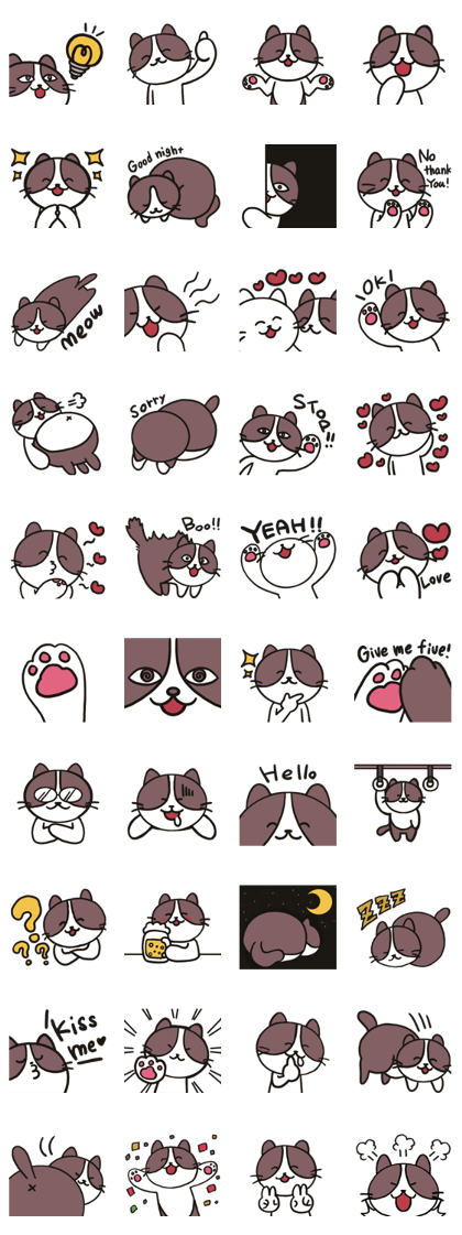 Tamaki of the cat