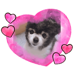 cherry_20200625174531